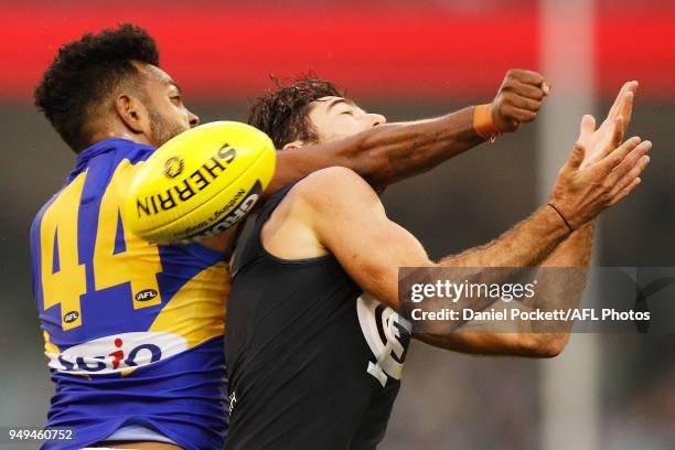 William Rioli of the Eagles and Kade Simpson of the Blues contest the ball during the round five AFL match between the Carlton Blues and the West...