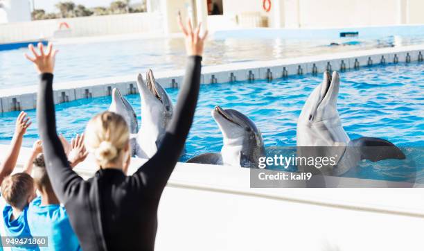 niños de excursión, delfines, entrenador en el parque marino - animales en cautiverio fotografías e imágenes de stock