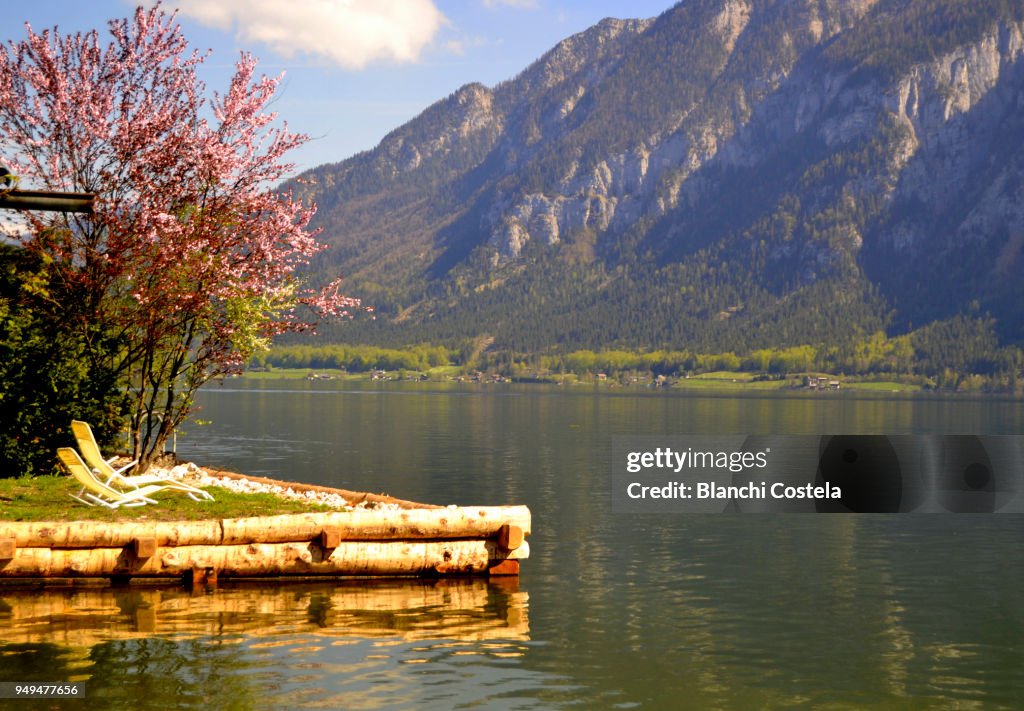 Halstatt Spring View Of Lake Hallstatt In Spring High-Res Stock Photo - Getty Images