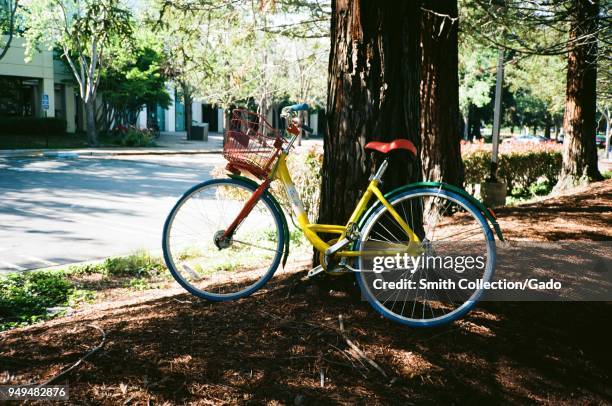 Googleplex Tree 468 Googleplex Stock Photos, High-Res Pictures, and Images - Getty Images