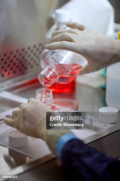 Diagnostic Hybrids laboratory workers prepare Rhesus monkey tissue cell cultures that will be sent to labs for use in testing for viruses including...