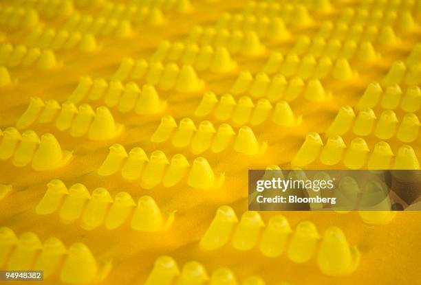 Marshmallow candy Peeps chicks move down a conveyor belt inside the Just Born Inc. Manufacturing facility in Bethlehem, Pennsylvania, U.S., on...