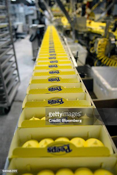 Marshmallow candy Peeps chicks roll down a conveyor belt to be shipped inside the Just Born Inc. Manufacturing facility in Bethlehem, Pennsylvania,...