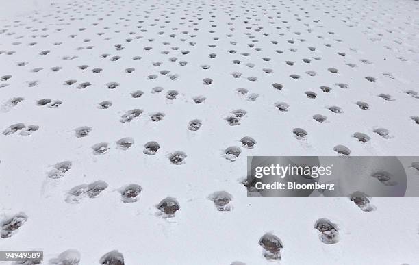 Footprints line a snow-covered running track in Astoria Park in the Astoria neighborhood of Queens, New York, U.S., on Monday, March 2, 2009. A...