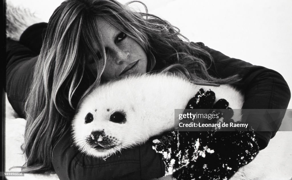 Brigitte Bardot and a baby seal