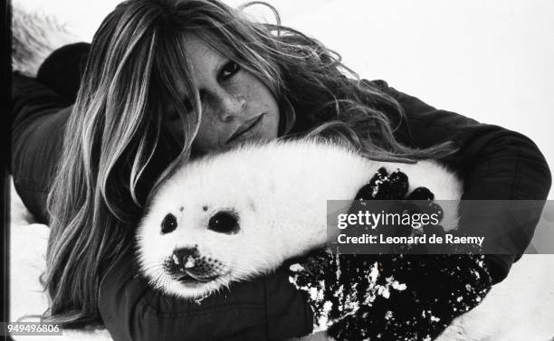 Brigitte Bardot, holding a baby seal, during Greenpeace's campaign against the seal hunt, on the Labrador ice floes, Canada, 1st March 1977