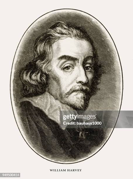 william harvey, english victorian engraving, 1887 - william harvey stock illustrations