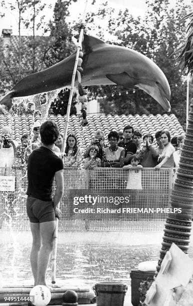 Spectacle de dauphins dans l'océanarium du ?Marineland d'Antibes?, dans les Alpes-Maritimes, France.