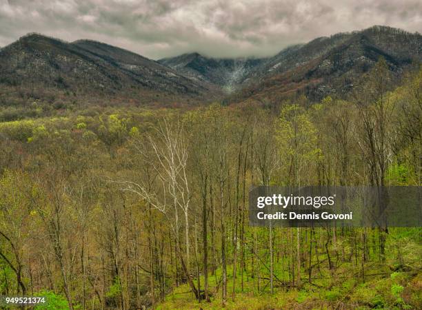spring collides with winter - gatlinburg winter stock pictures, royalty-free photos & images