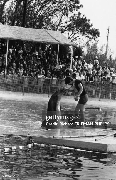 Spectacle de dauphins dans l'océanarium du ?Marineland d'Antibes?, dans les Alpes-Maritimes, France.