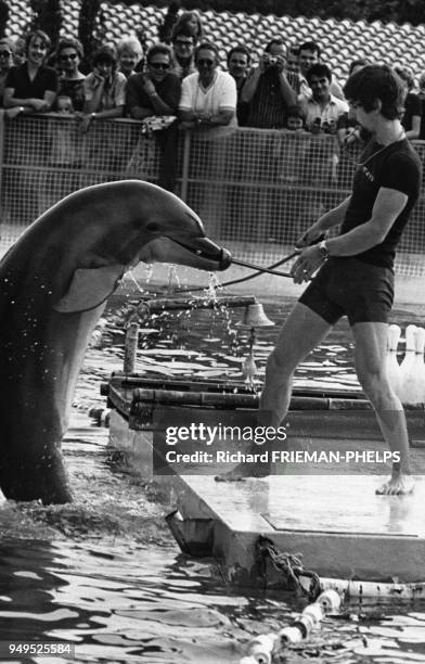Spectacle de dauphins dans l'océanarium du ?Marineland d'Antibes?, dans les Alpes-Maritimes, France.