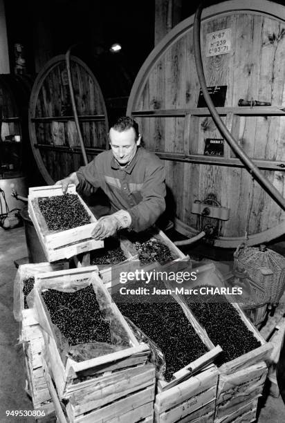 Fabrication de la crème de cassis de Dijon dans la maison ?Gabriel Boudier?, en Côte-d'Or, France.