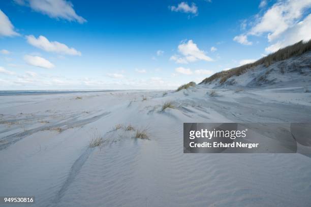white dunes, beach and north sea, langeoog, east frisia, lower saxony, germany - langeoog photos et images de collection