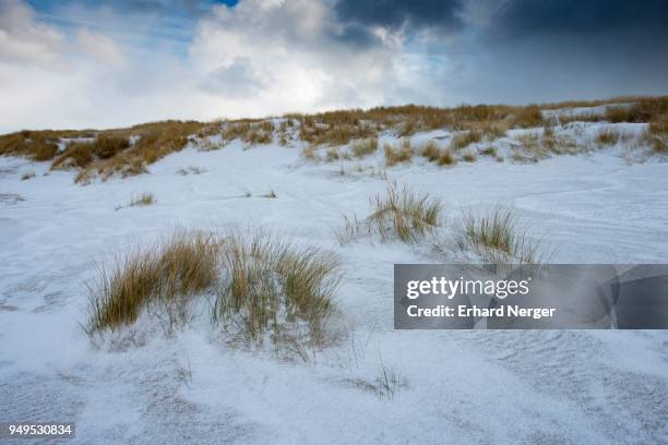 dunes and beach with snow, north sea, langeoog, east frisia, lower saxony, germany - langeoog stock pictures, royalty-free photos & images