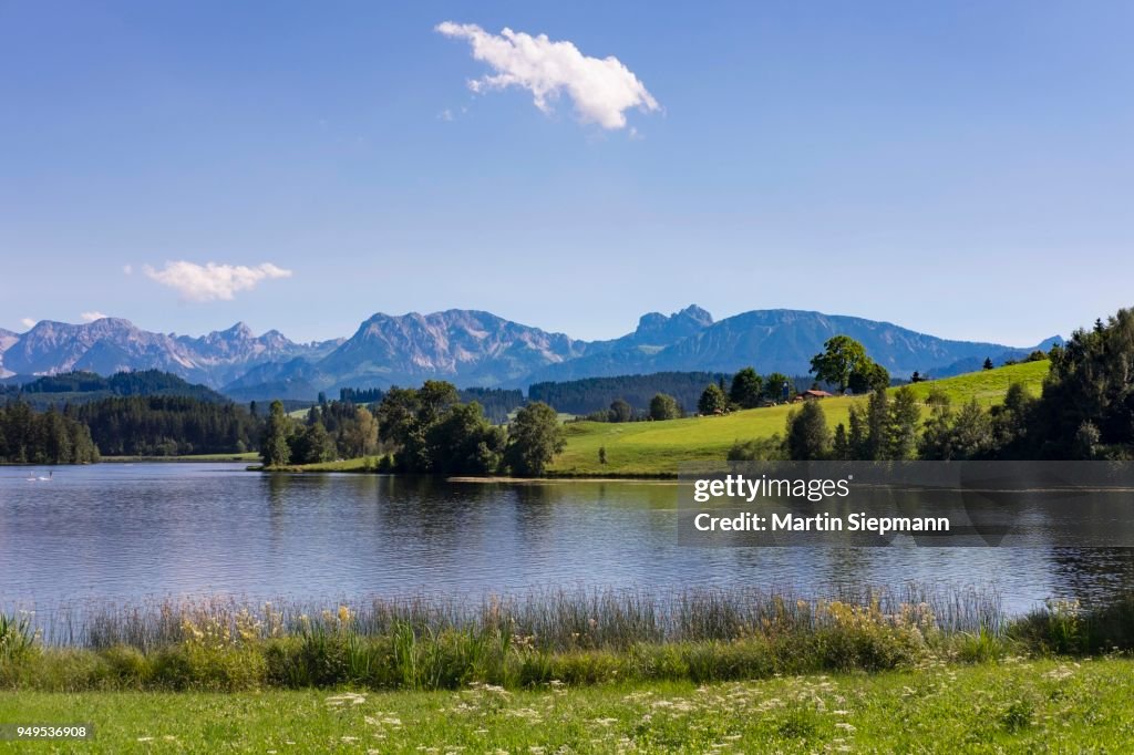 Schwaltenweiher, reservoir lake, Seeg, Brentenjoch and Aggenstein, Ostallgaeu, Allgaeu, Swabia, Bavaria, Germany