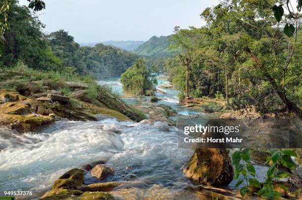 cataratas de agua azul, blue water waterfalls, rio yax, palenque, chiapas, mexico - agua azul stock-fotos und bilder