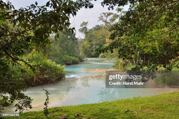 cataratas de agua azul, blue water waterfalls, rio yax, palenque, chiapas, mexico - agua azul stock-fotos und bilder