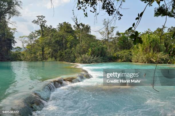 cataratas de agua azul, blue water waterfalls, rio yax, palenque, chiapas, mexico - agua azul stock pictures, royalty-free photos & images