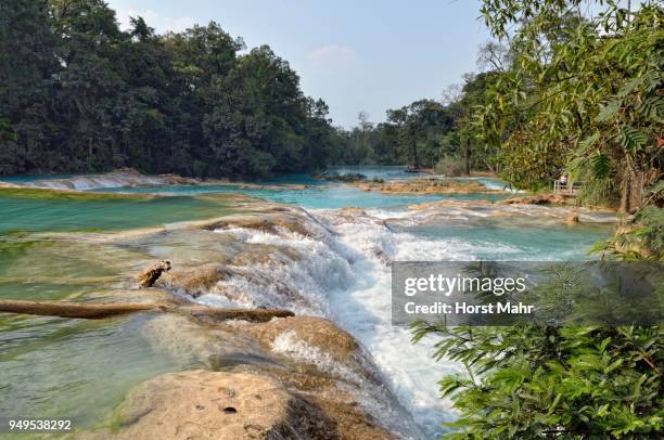 cataratas de agua azul, blue water waterfalls, rocky steps of rio yax, palenque, chiapas, mexico - agua azul stock-fotos und bilder