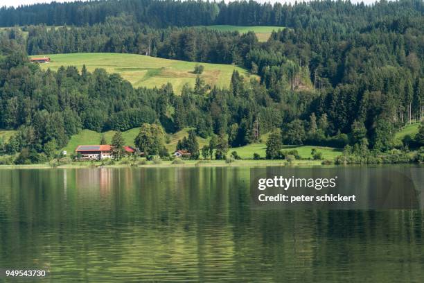 grosser alpsee lake near buehl, allgaeu, bavaria, germany - lake alpsee stock pictures, royalty-free photos & images