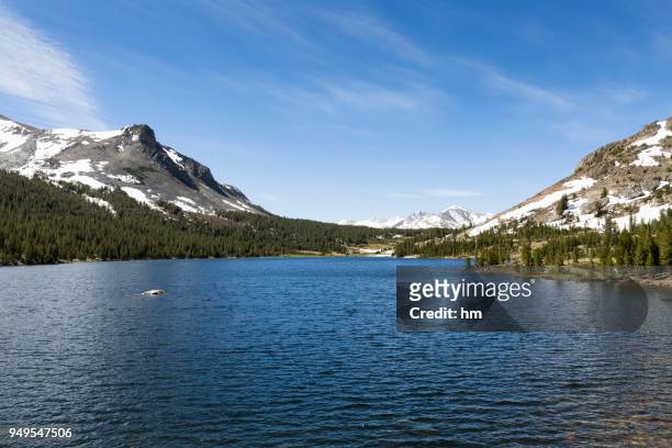 mountain lake tioga lake, inyo national forest of mono county, california, usa - inyo national forest stock pictures, royalty-free photos & images