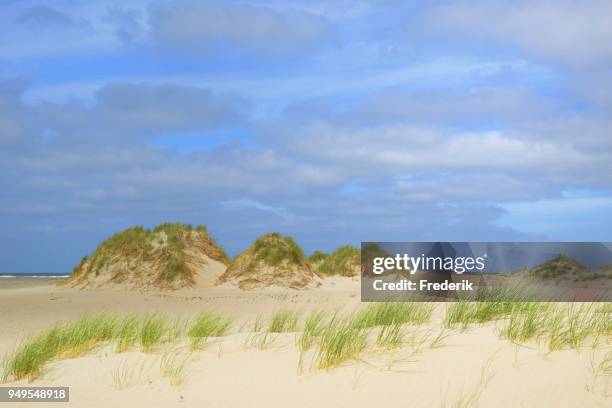 Vegetated Ridges Vegetated Photos and Premium High Res Pictures - Getty Images