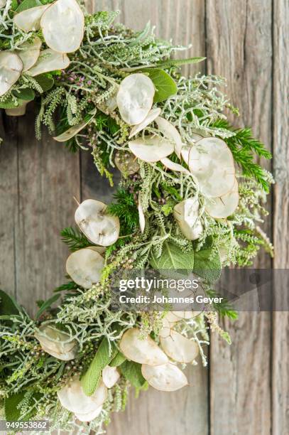 autumn wreath on wooden wall, tied with calluna (calluna vulgaris), santolina (santolina chamaecyparissus), juniper (juniperus communis), pieces of silver (lunaria annua), lavender (lavandula angustifolia), sage (salvia officinalis), cushion bush - angustifolia stock pictures, royalty-free photos & images