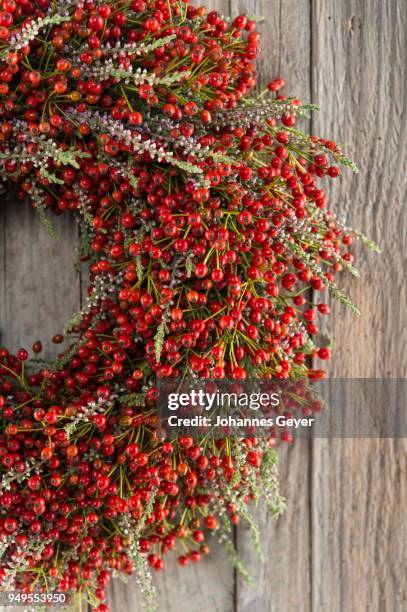 autumn wreath on wooden wall cutout, tied with rosehip (rosa canina), heather (calluna vulgaris) - ca nina stock pictures, royalty-free photos & images