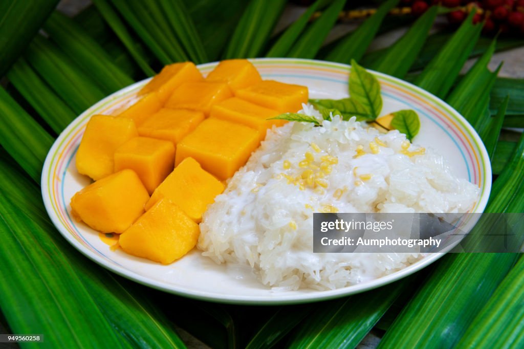 Famous Thai dessert , Mango with sticky rice and coconut milk