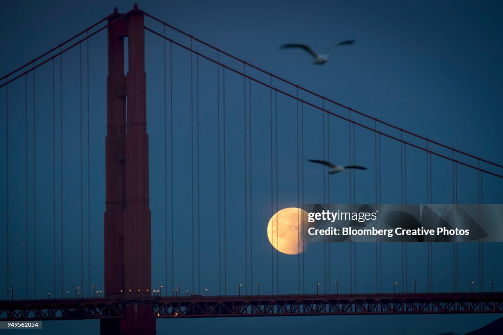 A super blue blood moon sets behind the Golden Gate Bridge in San Francisco