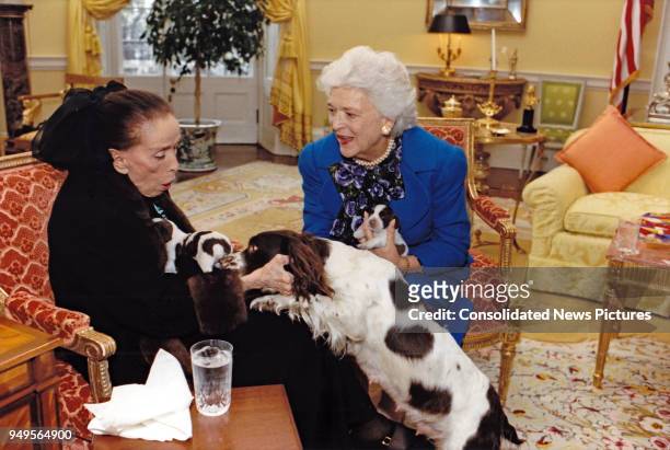 In the White House, American dancer and choreographer Martha Graham and First Lady Barbara Bush play with the Bush's pet dog Millie and her puppies,...