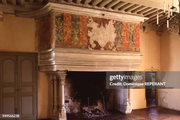 Cheminée du château de Châteauneuf-en-Auxois, en Côte-d'Or, France.