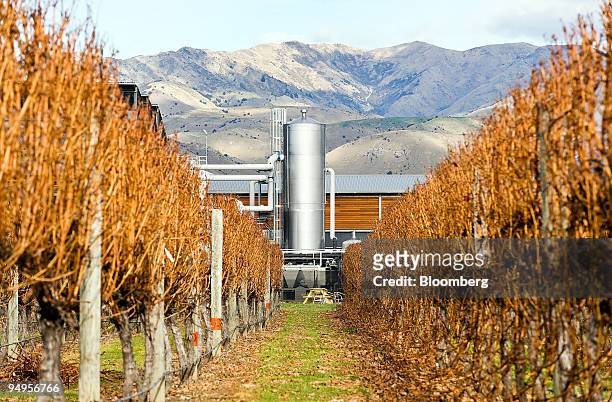 Grape vines grow in front of the Villa Maria Estate Ltd. Winery, outside Blenheim, in Marlborough, New Zealand, on Tuesday, June 23, 2009. A record...