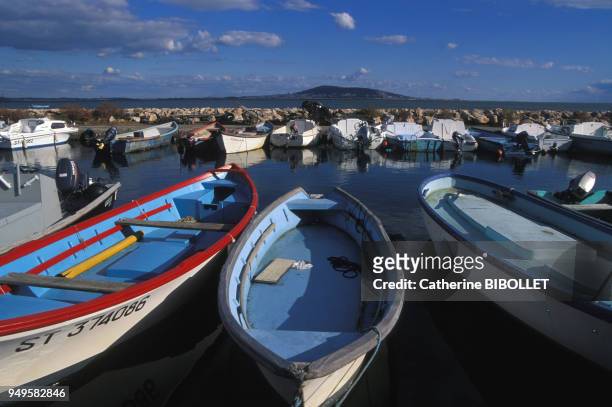 Bateaux dans le port de Mèze, sur l'étang de Thau, dans l'Hérault, France.