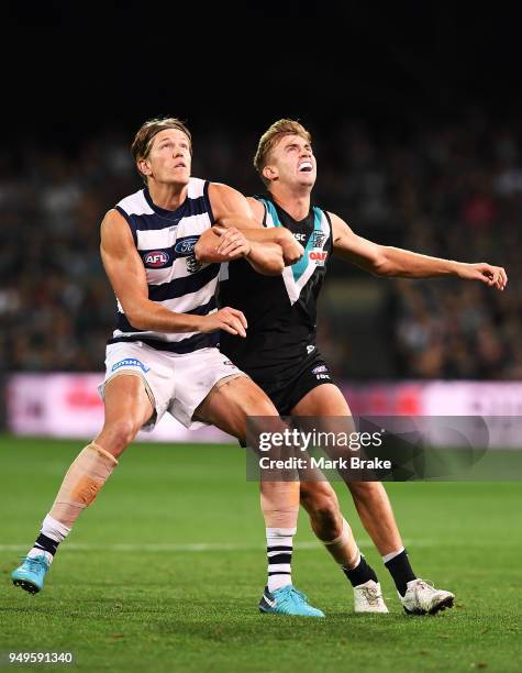 Rhys Stanley of the Cats and Dougal Howard of Port Adelaide during the round five AFL match between the Port Adelaide Power and the Geelong Cats at...