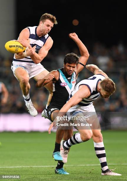 Jordan Murdoch of the Cats attempts to mark over Jake Neade of Port Adelaide during the round five AFL match between the Port Adelaide Power and the...