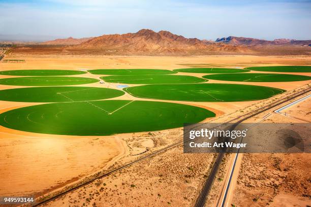 circulaire gewas velden in de woestijn - irrigation equipment stockfoto's en -beelden