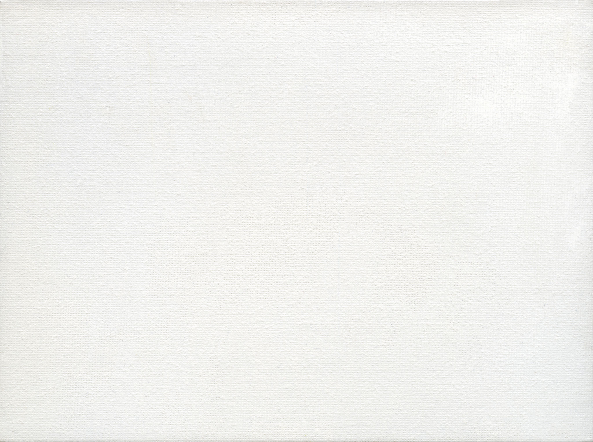 cotton canvas