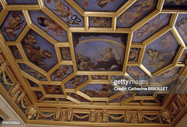 Le plafond plafond à caissons peints de la Chambre du Roi dans le palais des archevêques de Narbonne, dans l'Aude, France.