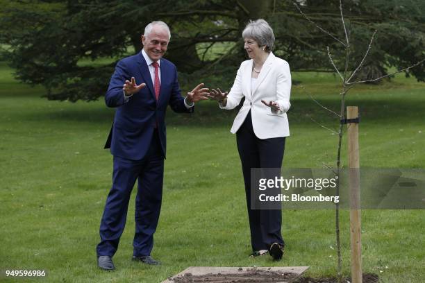 Malcolm Turnbull, Australia's prime minister, left, gestures with Theresa May, U.K. Prime minister, during the ceremonial planting of an English oak...