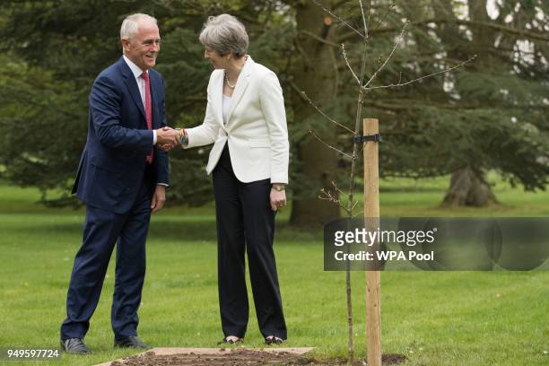 Prime Minister of Australia Malcolm Turnbull plants an English oak tree with Prime Minister Theresa May at her country residence Chequers on April...