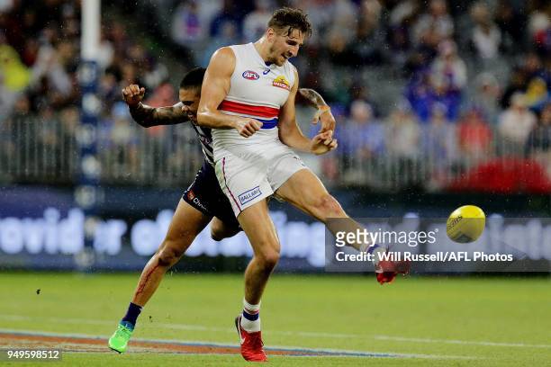 Marcus Bontempelli of the Bulldogs kicks the ball under pressure from Michael Walters of the Dockers during the round five AFL match between the...