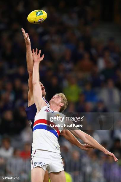 Aaron Sandilands of the Dockers and Tim English of the Bulldogs contest the ruck during the round five AFL match between the Fremantle Dockers and...
