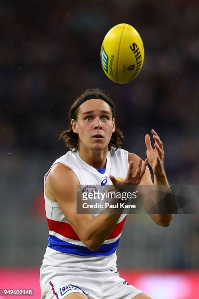 Lukas Webb of the Bulldogs marks the ball during the round five AFL match between the Fremantle Dockers and the Western Bulldogs at Optus Stadium on...
