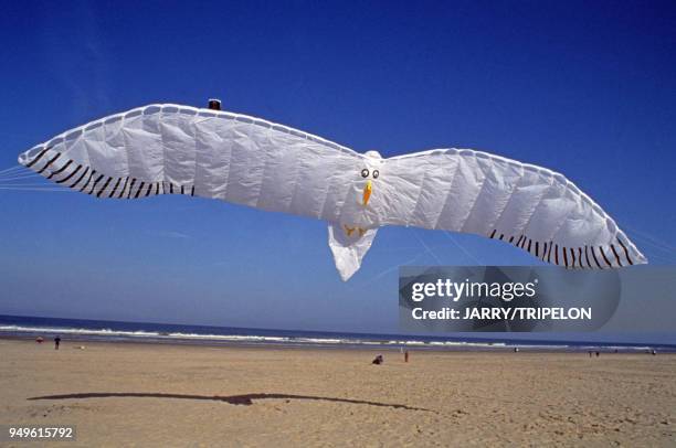 Cerf-volant ?Albatros? de Peter Rielet lors des Rencontres Internationnales de Cerf-Volant de Berck, à Berck-sur-Mer, dans le Pas-de-Calais, France.