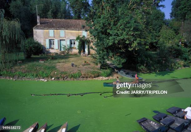 Maison traditionnelle dans le Marais poitevin, à Arçais, dans les Deux-Sèvres, en France.