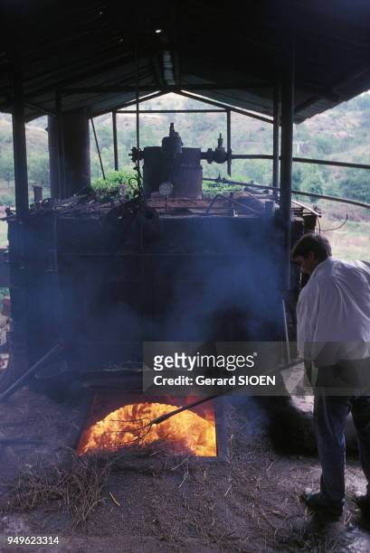 Distillation de la lavande pour la production d'huiles essentielles, à Puimichel, dans les Alpes-de-Haute-Provence, France.
