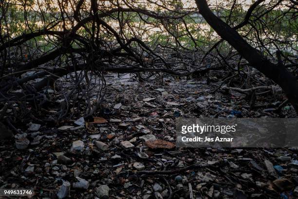 Plastic wastes fill the space in a mangrove area on April 18, 2018 in Manila, Philippines. The Philippines has been ranked third on the list of the...