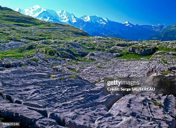 Vue des environs des chalets de Platé en direction du massif du Mont Blanc / Au 1er plan les lapiaz / fissures acérées résultant de la dissolution de...