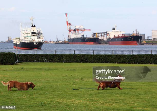 Dogs run on the lawn of a park while oil tankers pass in Kamisu city, Ibaraki prefecture, Japan, on Tuesday, July 7, 2009. Prime Minister Taro Aso...